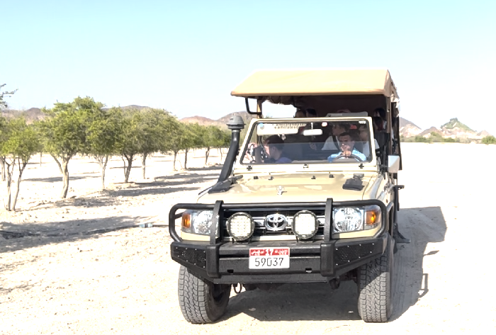 Pulau Sir Bani Yas, Abu Dhabi, UEA Mobil safari di Pulau Sir Bani Yas, Abu Dhabi, UEA. Menjelajahi pulau selama sekitar 2 jam.