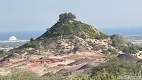 Bukit-bukit di Pulau Sir Bani Yas sudah banyak yang ditutupi hijaunya tanaman. 