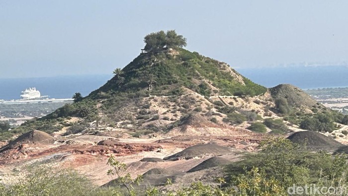 Pulau Sir Bani Yas, Abu Dhabi, UEA