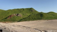 Bukit-bukit yang tertutupi tanaman, serasa bukan di gurun. 