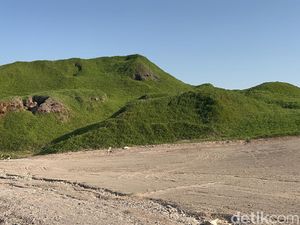 Pulau Hijau di Abu Dhabi Uni Emirat Arab