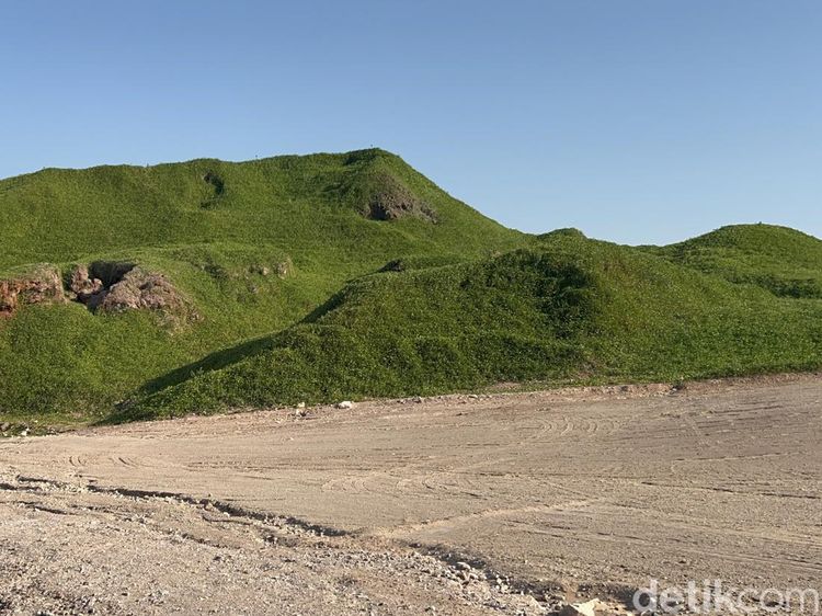 Pulau Hijau di Abu Dhabi Uni Emirat Arab