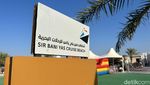 Pulau Hijau di Abu Dhabi Uni Emirat Arab