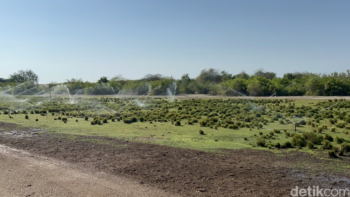 Pulau Sir Bani Yas, Abu Dhabi, UEA Pulau Sir Bani Yas, Abu Dhabi, UEA