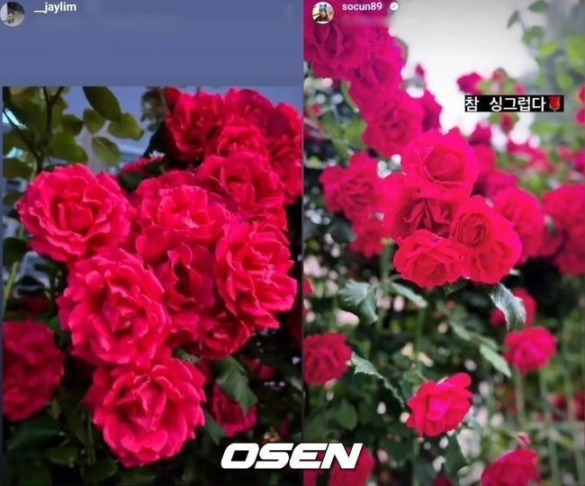 Rumor pacaran Song Jae Rim dan Kim So Eun