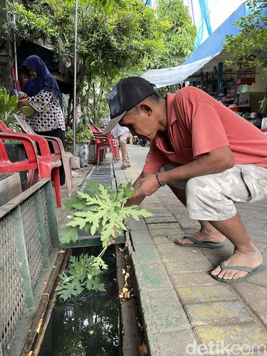 Selokan Kolam Ikan di Oase Ondomohen