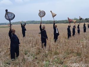 Menjaga Tradisi Tampaling, Menyambut Musim Panen di Pangandaran