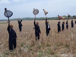 Menjaga Tradisi Tampaling, Menyambut Musim Panen di Pangandaran