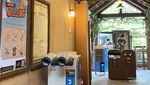 Tempat Ideal Healing Seharian di Korea, Everland