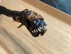 5 Makanan Eksotik Ini Disebut Mirip Alien dari Luar Angkasa