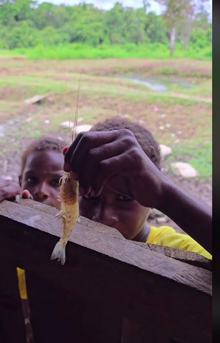 Demi Wafer Cokelat, Bocah Papua Ini Barter dengan Seekor Udang