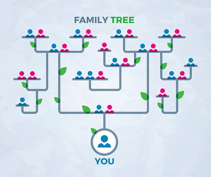 Family Tree (Pohon Keluarga) dalam Bahasa Inggris dan Contohnya