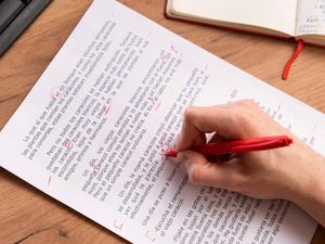 Jenis-jenis Kalimat dalam Bahasa Indonesia Lengkap dengan Contohnya