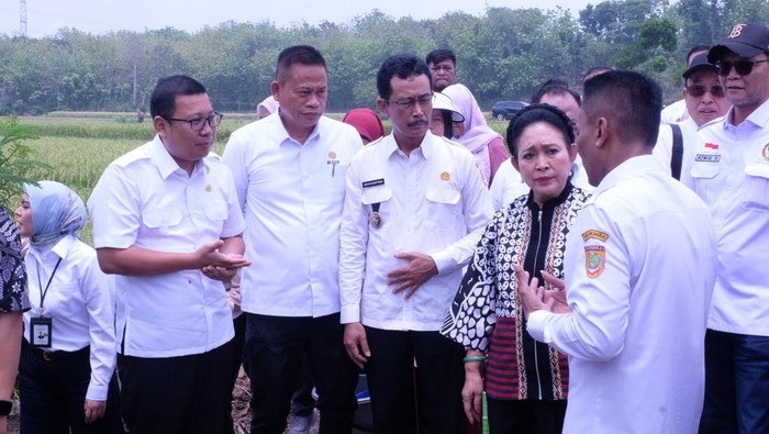 Kementan