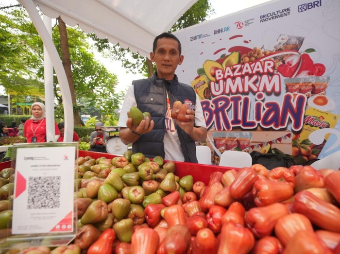 KUR BRI Bantu Berdayakan Petani Jambu Citra di Desa Menawan Kudus