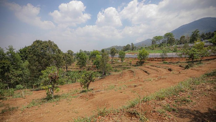 Lahan kritis di Cibiru.