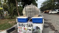 Dengan membawa mobil pikap bercorak sapi dan membawa tangi khusus. Pedangan susu sapi segar ini biasanya mangkal di Jalan Dharmahusada.