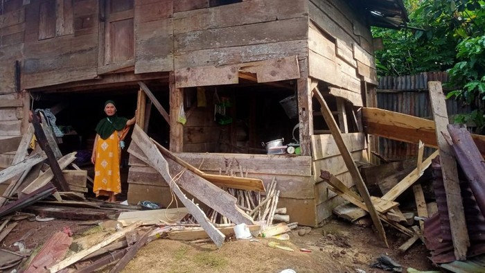 Rumah warga rusak diserang kawanan gajah di Tanggamus.