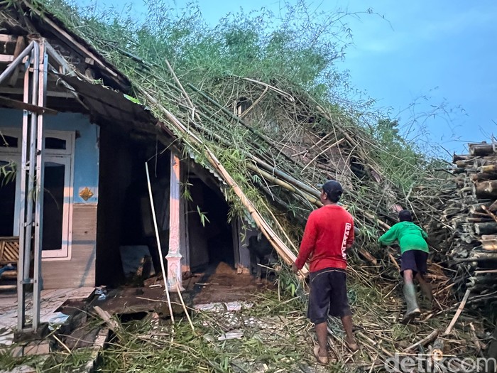 Rumpun bambu ambruk timpa rumah di Mojokerto