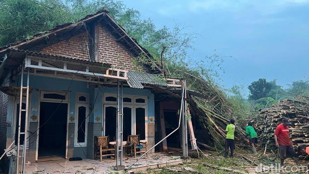 Rumpun bambu ambruk timpa rumah di Mojokerto