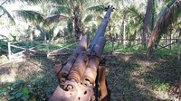 Meriam tua saksi bisu tentara Jepang melawan sekutu.