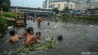 Sejumlah anak berenang di Banjir Kanal Barat, Jakarta, Sabtu (16/11/2024). 