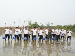 Penanaman 10 Ribu Mangrove oleh Telkom di Pantai Terancam Abrasi