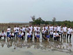 Penanaman 10 Ribu Mangrove oleh Telkom di Pantai Terancam Abrasi