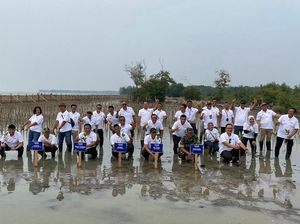 Penanaman 10 Ribu Mangrove oleh Telkom di Pantai Terancam Abrasi
