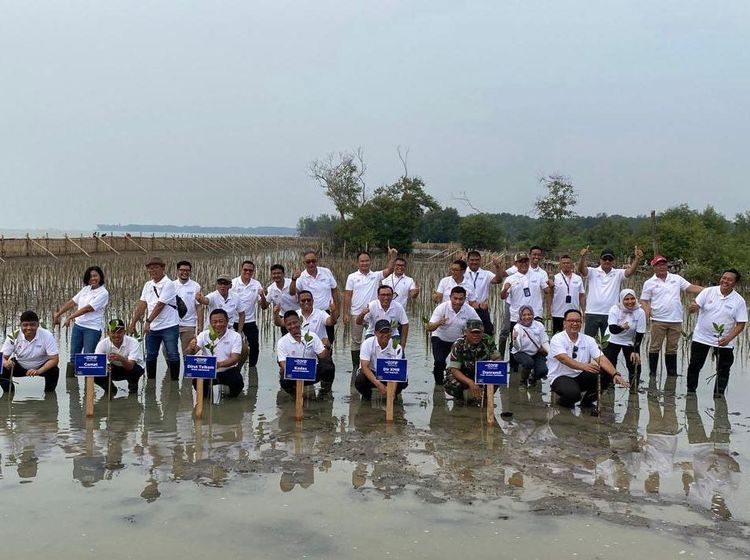 Penanaman 10 Ribu Mangrove oleh Telkom di Pantai Terancam Abrasi