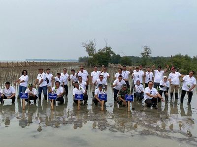 Penanaman 10 Ribu Mangrove oleh Telkom di Pantai Terancam Abrasi