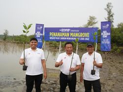 Penanaman 10 Ribu Mangrove oleh Telkom di Pantai Terancam Abrasi
