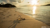 Air laut yang jernih dapat memuaskan pengunjung untuk berenang ataupun sekedar foto-foto.