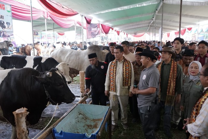 Istimewa