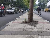Ini Alasan Kendaraan Melintas di Kanan Jalan Elang Raya, Kaya di Eropa