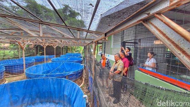 Kondisi TPS3R di Desa Padamukti, Kecamatan Solokanjeruk