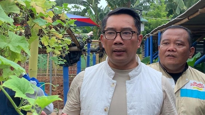 Cagub Jakarta nomor urut 1, Ridwan Kamil (RK), mengunjungi sebuah lahan kosong milik perusahaan swasta yang sudah disulap oleh warga menjadi urban farming atau pertanian di kota. RK ingin membuat Peraturan Gubernur (Pergub) meminjam lahan untuk digunakan menjadi urban farming warga.