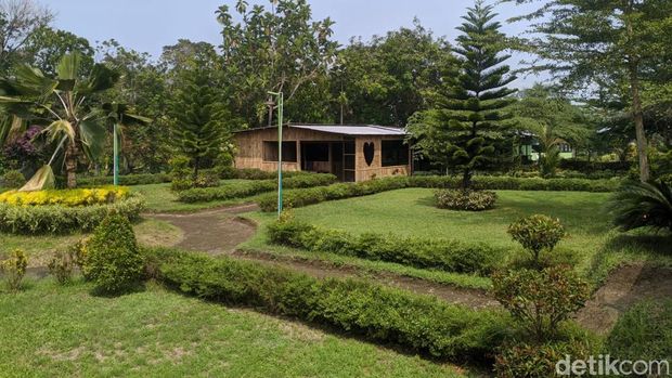 Suasana Mekarsari Garden di Desa Mekarsari, Kecamatan Narmada, Lombok Barat, Nusa Tenggara Barat, Minggu (10/11/2024). (Ahmad Viqi/detikBali).