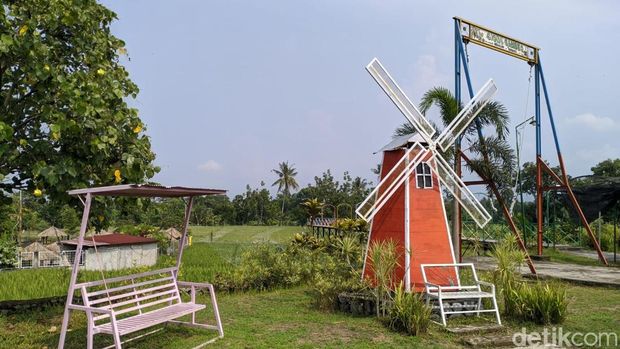 Suasana Mekarsari Garden di Desa Mekarsari, Kecamatan Narmada, Lombok Barat, Nusa Tenggara Barat, Minggu (10/11/2024). (Ahmad Viqi/detikBali).