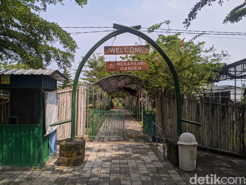 Suasana Mekarsari Garden di Desa Mekarsari, Kecamatan Narmada, Lombok Barat, Nusa Tenggara Barat, Minggu (10/11/2024). (Ahmad Viqi/detikBali).