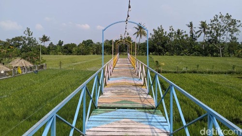 Suasana Mekarsari Garden di Desa Mekarsari, Kecamatan Narmada, Lombok Barat, Nusa Tenggara Barat, Minggu (10/11/2024). (Ahmad Viqi/detikBali).