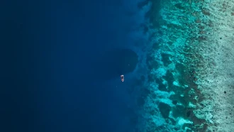 Makhluk Laut Raksasa Seukuran Dua Lapangan Basket Terekam Kamera