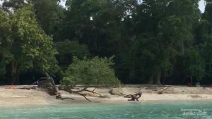 Ssst...Ada Cara Seru Nih Menikmati Pantai Pangandaran