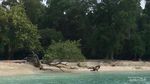 Ssst...Ada Cara Seru Nih Menikmati Pantai Pangandaran