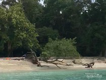 Ssst...Ada Cara Seru Nih Menikmati Pantai Pangandaran