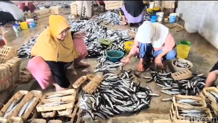 umkm pindang di Lamongan