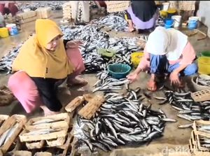 Pelaku UMKM Ikan Pindang di Lamongan Keluhkan Sepinya Permintaan