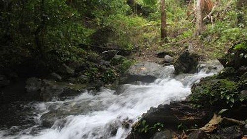 Air Panas Blidit di Desa Waigete , Sikka. (https://bkppkutim.com)