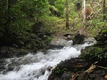 Hidden Gem di Sikka, Air Panas Blidit yang Tersembunyi