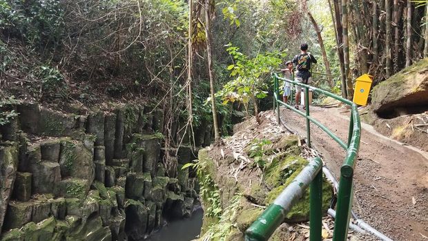 Jalan setapak menuju Air Terjun Temesi, Gianyar, Bali, Sabtu (16/11/2024).